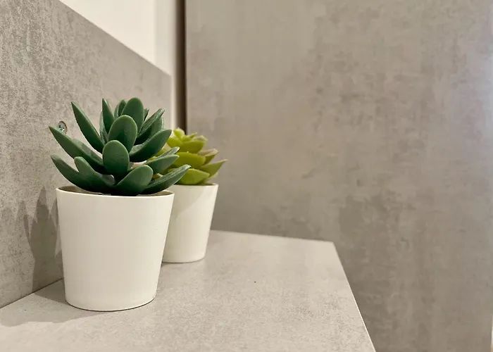 Апартаменты In 300 M From