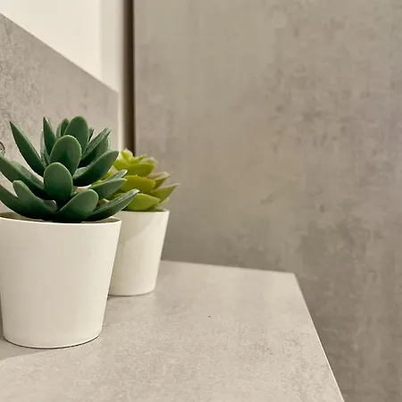 Apartment In 300 M From